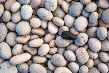 Fototapeta na wymiar Una piedra negra sobre piedras blancas. Concepto Ying Yang. Piedras de playa con piedra negra.