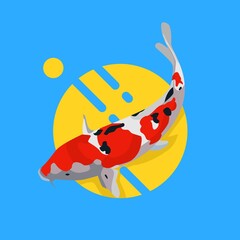 koi fish is a symbol of prosperity. Vector illustration of koi fish in red and black with light blue background. eps file