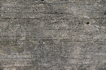 Wood texture, background with copy space. Old wooden planks of gray flowers overgrown with lichen and moss