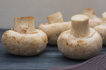 Fresh champignon mushrooms lie on a gray wooden table.