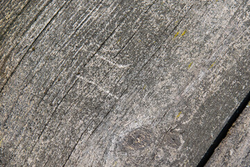 Wood texture, background with copy space. Old wooden planks of gray flowers overgrown with lichen and moss