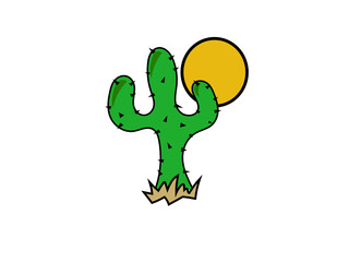 cactus in the desert