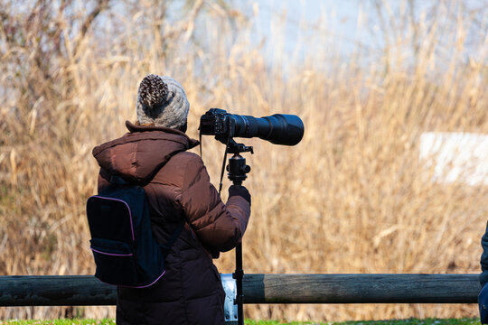 Bird photographer take photos with a camera and telephoto