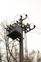 Concrete electric pole providing electricity to remote settlements.