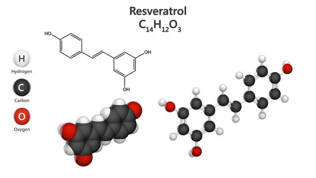 Molecular structure of resveratrol - antioxidant and potential chemopreventive activities. C14H12O3. Structure model: Ball and Stick + Space-Filling. 3D render. Seamless loop. White background.