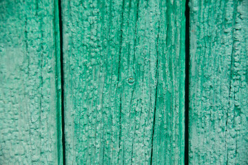 Fototapeta na wymiar Wood texture, background with copy space. Old wooden barn green or emerald