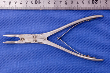 Rongeurs on blue background