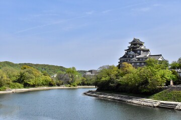 Fototapeta premium 岡山城