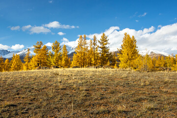 Fototapeta premium Autumn landscape in the mountains