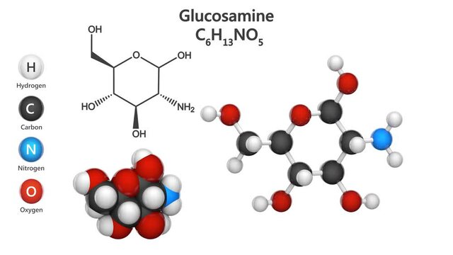 Glucosamine (C6H13NO5) is an amino sugar. treatment for osteoarthritis. Chemical structure model: Ball and Stick + Space-Filling. 3D render. Seamless loop. Isolated on white background.