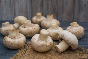 Fresh champignon mushrooms lie on a linen napkin on a gray wooden table.