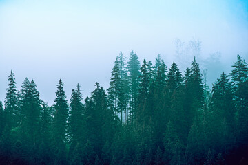 Misty mountain landscape