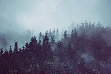 Misty mountain landscape