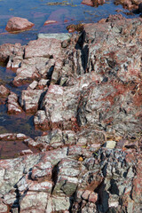 Red stone plateau in the water at Storsand beach, Norfällsviken, Gulf of Bothnia, Sweden, Europe