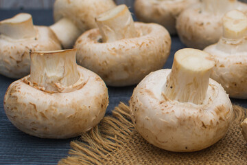 Fresh champignon mushrooms lie on a linen napkin on a gray wooden table.