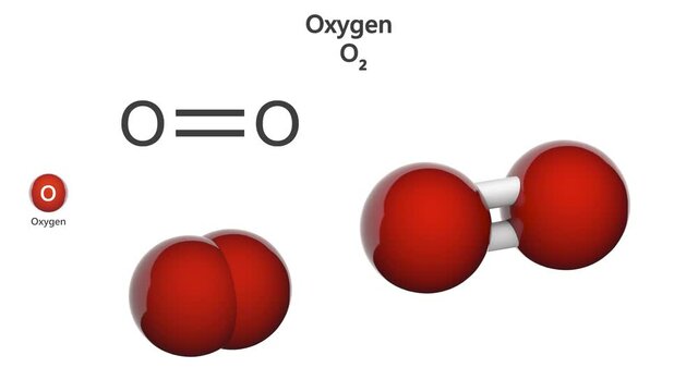 Oxygen is a chemical element with symbol O and atomic number 8. Chemical structure model: Ball and Stick + Space-Filling. 3D render. Seamless loop. Isolated on white background.