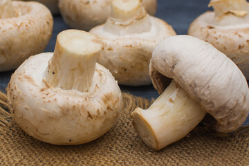 Fresh champignon mushrooms lie on a linen napkin on a gray wooden table.