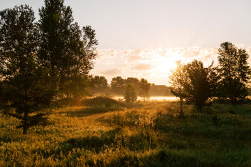 Yellow sunrise in morning forest nature view. The sun's rays penetrate through the trees and morning fog.