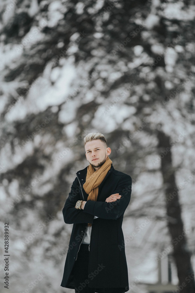 Poster Vertical shot of a caucasian stylish male posing outdoors in a snowy park