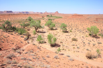 Valley of the Gods in Navajo Nation, Utah, USA