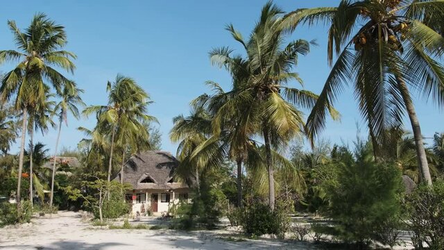 Tropical African hotel with thatched palapa roof bungalows and palm trees on blue sky background, Zanzibar. Exotic vacation. Summer hut houses on sea island. Tropical courtyard area. Panoramic view