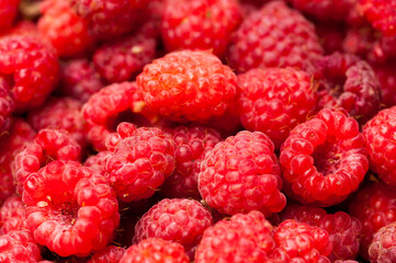 sweet raspberry fruit