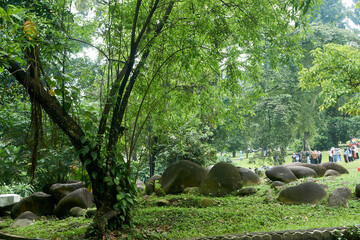 person in the woods and the rocks