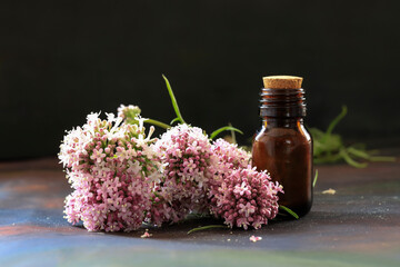 cat plant oil; Valeriana officinalis oil