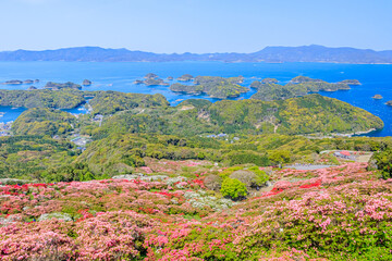 西海国立長串山公園のつつじ　長崎県佐世保市　Azalea Nagasaki-ken Sasebo city Saikai National Park Nagakushiyama park