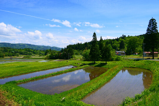 「江刺」の写真素材 411件の無料イラスト画像 Adobe Stock