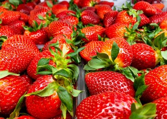 Large ripe strawberries in plastic containers stand in row for sale at market. Strawberries from supermarket in container. Harvest of berries. Tasty and healthy food. Hello summer. Summer background