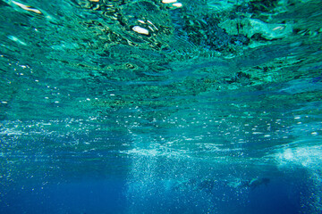 Tranquil underwater scene with copy space