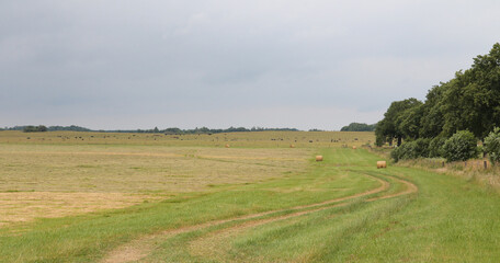 Fototapeta na wymiar Field landscape in the countryside.