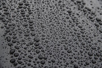 Water drops on car paint. Hydrophobic water effect on car body.