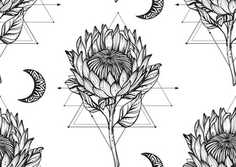 Vector beautiful seamless pattern. Romantic elegant endless background with hand drawn protea flowers