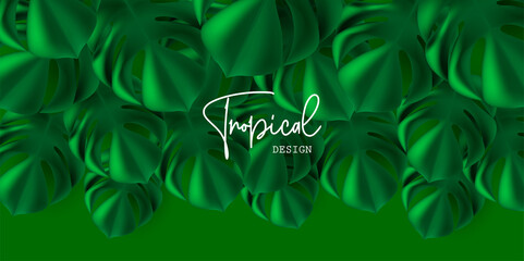 Green tropical background with palm big leaves hanging from top, modern 3d mono color backdrop