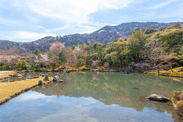 天龍寺　曹源池
