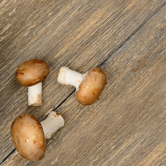 Three champignons on a wooden table.