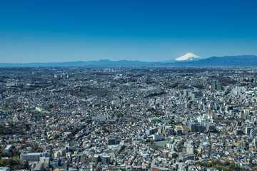 横浜の街並みと富士山