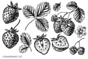 Vector set of hand drawn black and white strawberry