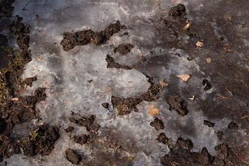 Dirt and melting ice with dry leaves texture