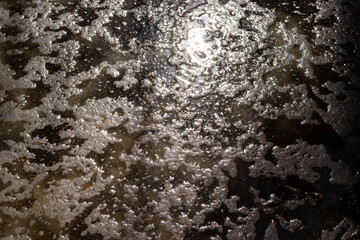 Puddle with dirty water with foam, melting snow, forest ground in sun light