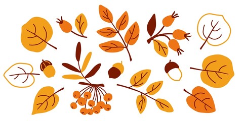 Leaves and berries in autumn. Vector set on an isolated background. Autumn simple flat illustrations. Hand-drawn drawings for autumn decor. Background elements for prints, packaging, and postcards.