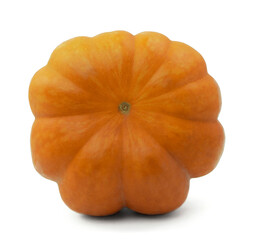 Ripe orange pumpkin on white background. Growing pumpkin. Pumpkin is an autumn food.