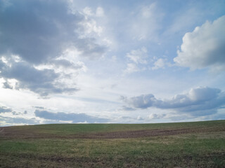 Fototapeta premium blue sky with many clouds, green spring field 