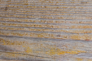 Old wooden board texture close-up background