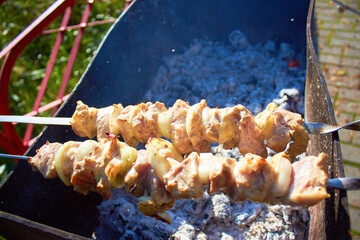 In the grill, pork shish kebab is fried on skewers. Pork kebab close-up