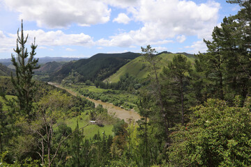 Whanganui  River / Whanganui  River /