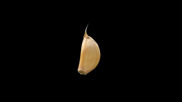 Realistic Garlic Rotating With Alpha Channel