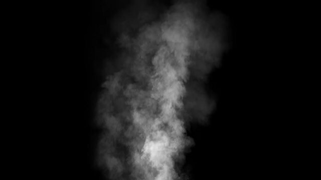 Abstract smoke in slow motion. white  Smoke, Cloud of cold fog in light spot background. Light, white, fog, cloud, black background, 4k, ice smoke cloud. Floating fog. 3d SMOKE MODEL
